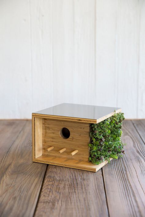 The Bauhaus inspired house includes a living wall. Image via E. Spencer Toy/Sunset Publishing Joseph Eichler, Modern Bird Feeders, Modern Birdhouses, Garden Vertical, Object Of Desire, Wooden Birdhouse, Bird House Feeder, Vertical Vegetable Garden, Modernist House