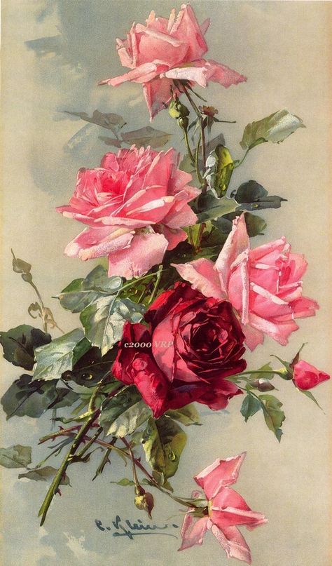 ^^                                                                                                                                                                                 Más Beautiful Rose Drawing, Catherine Klein, Beautiful Flower Drawings, French Victorian, Soyut Sanat Tabloları, Roses Drawing, Rose Art, Rose Painting, Arte Floral