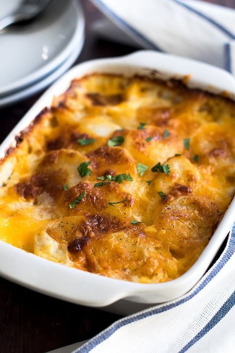 Cheesy Potato Gratin for Two - Baking Mischief Cheesy Potato Gratin, Creamy Cheesy Potatoes, Panini Recipes Chicken, Easy Meals For Two, Cheesy Potato, Potato Gratin, Cheesy Potatoes, Baked Chicken Breast, Healthy Meals For Two