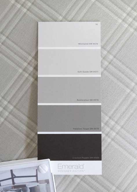 Gray Painted Walls, Room For Tuesday, Pintura Exterior, Grey Paint, Paint Swatches, Best Paint Colors, Work Diy, Tattoos Travel, Paint Line