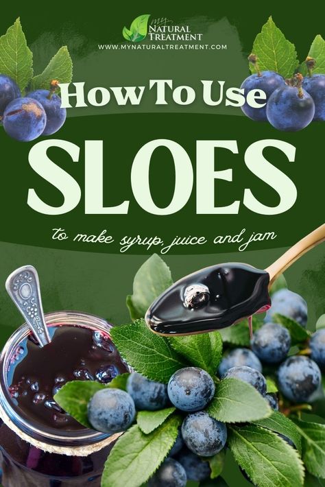 Want to learn how to use sloes, namely how to make sloe berries tea, sloes syrup, sloe juice, and sloe jam? Continue reading. Sloe Berries Recipes, Sloe Berry Recipes, Berry Syrup Recipe, Berry Tea Recipe, Pineapple Chili, Homemade Syrups, Sloe Berries, Benefits Of Berries, Berry Recipes