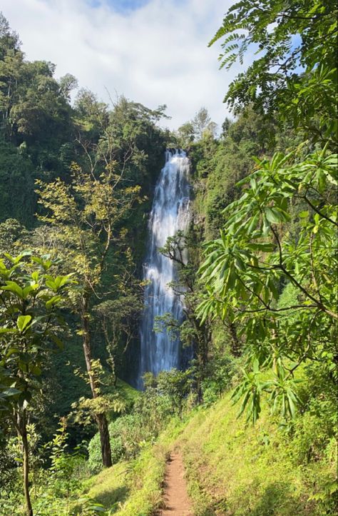 Jungle Asethic, Africa Rainforest, Savanna Aesthetic, Zanzibar Tanzania Photography, Tropical Rainforest Aesthetic, Africa Travel Aesthetic, Travel Aesthetic Africa, Afrika Aesthetic, Tanzania Landscape