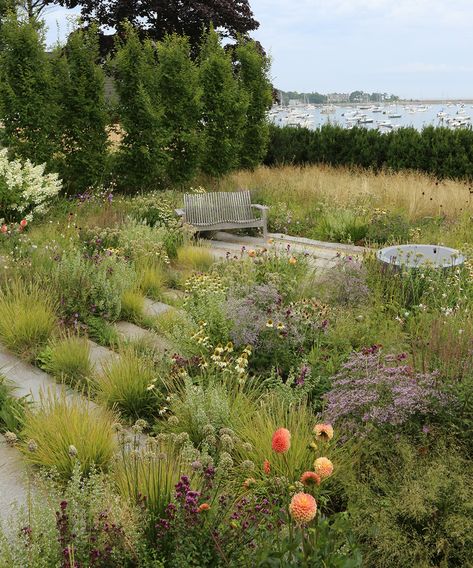 Naturalistic Garden, Medicinal Garden, Prairie Garden, Meadow Garden, Dry Garden, Planting Plan, Gravel Garden, Garden Kit, Grasses Garden