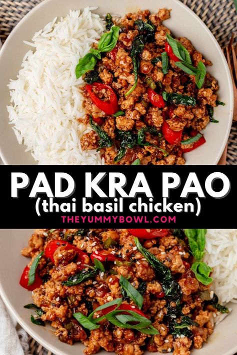 Easy and so quick to whip up, this Thai Basil Chicken will become your new favorite Asian-style dish. It’s salty, sticky, sharp, spicy, and made with plenty of ‘’holy’’ basil which is the star ingredient in this dish. Pad Kra Pao, Thai Basil Chicken, Basil Recipes, Basil Chicken, Thai Basil, Holy Basil, Think Food, Chicken Dishes Recipes, Asian Cooking