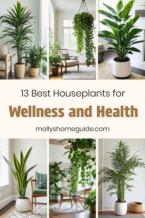 Plants That Are Good For Your Health, Best Plants For Apartments, Best House Plants To Clean The Air, Plants Air Purifying Indoor, Air Filtering Plants Houseplants, Plant Air Purifier Indoor, Tall Indoor Plants Bedroom, Plants For Clean Air At Home, House Plants For Health