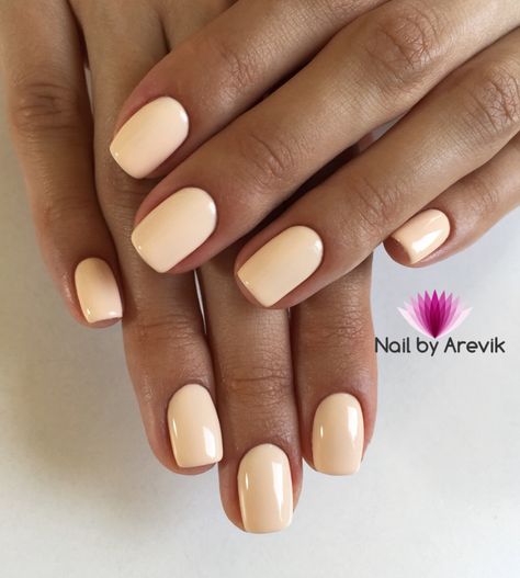 Shy is a super pale peachy nude. Award Winning Gel Polish! This incredible 100% pure colored gel is created by Akzentz amazing team of chemists to be completely solvent free, long lasting and easily applied! This unique formula provides numerous benefits: Easy Application - The product is not runny so it stays where you apply it. Odor Free - Absolutely NO smell. Does not smell like nail polish, since it is polish free. Flexibility and Strength - Typical gel polish made with polish in it will chi Nail Colors With Tan Skin, Engagement Nails Color, Cream Square Nails, Cream Pearl Nails, Neutral Nail Designs 2024, Short Gel Nails Summer 2024, Pale Orange Nails, Peachy Nude Nails, Cream Colored Nails