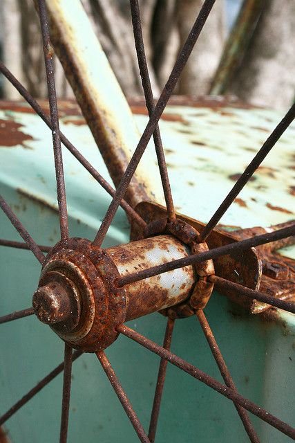 Remove rust by mixing 1 c borax and 2 cups warm water with a tablespoon of lemon juice. Detail Craft, Homemade Toilet Cleaner, Clean Baking Pans, Cleaning Painted Walls, Rust Removers, Garden Junk, Bicycle Wheel, How To Remove Rust, Cleaners Homemade