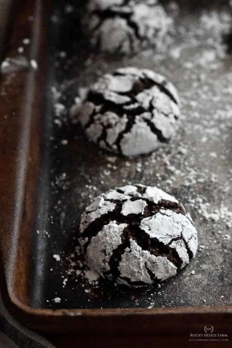 Easy Chocolate Espresso Crinkle Cookies | Get the recipe for these delicious traditional holiday cookies | #rockyhedgefarm Crinkle Cookies Recipe, Chocolate Crinkle, Mexican Chocolate, Holiday Chocolate, Iowa Girl Eats, Chocolate Crinkle Cookies, Festive Cookies, Chocolate Crinkles, Chocolate Espresso