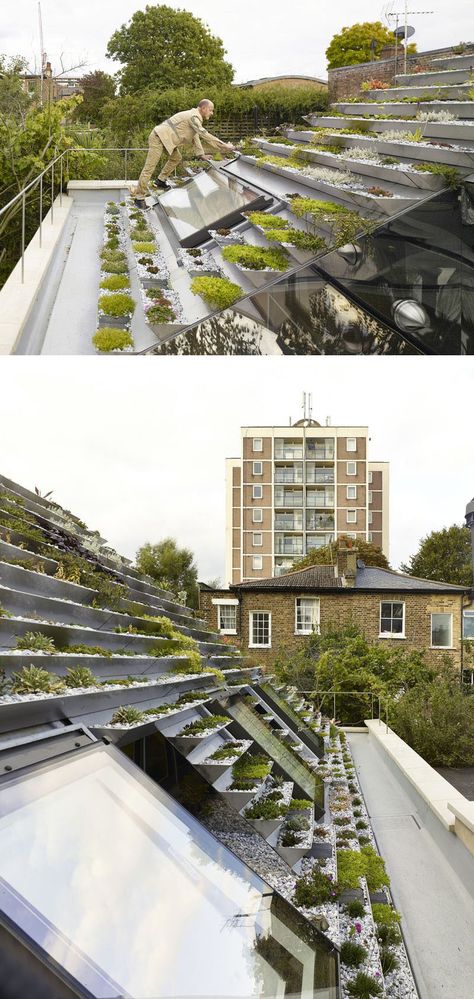 This green roof on a home in London, has a series of terraced stainless steel planters filled with over 800 plants. Green Roof House, Terrace Roof, Green Roof Building, Roof Decoration, Living Roofs, Roof Architecture, Patio Roof, Green Architecture, Rooftop Garden