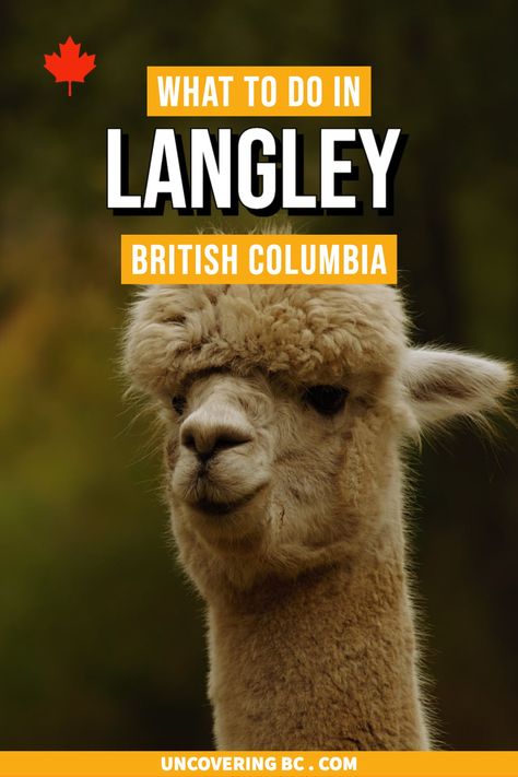 Langley Bc Canada, Langley Bc, Canada Vancouver, Fraser River, Perfect Things, Parks Canada, Dress Appropriately, Outdoor Lover, British Columbia Canada