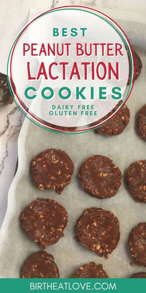 Dairy Free Lactation Recipes, Peanut Butter Lactation Cookies, Easy Lactation Cookies, Lactation Recipes Easy, Oatmeal Lactation Cookies, Boost Milk Supply Breastfeeding, Boosting Milk Supply, Dairy Free Lactation Cookies, Lactation Cookie Recipe