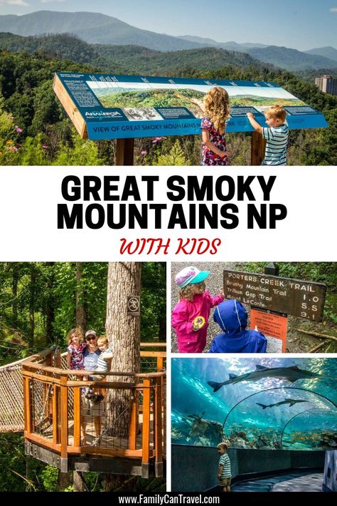 Three Active Days in Gatlinburg, TN with Kids - Family Can Travel Tennessee Family Vacation, Gatlinburg Attractions, Gatlinburg Tennessee Vacation, Smokey Mountains National Park, Tennessee Road Trip, Smokey Mountains Vacation, Mountains Vacation, Gatlinburg Vacation, Mountain Trip