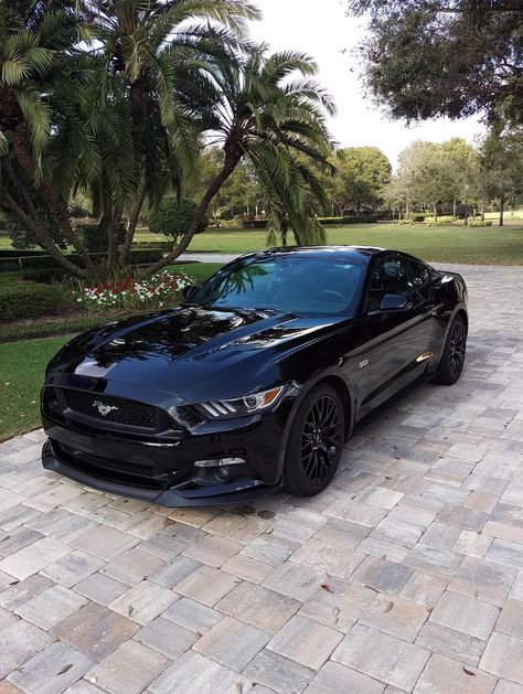 Siyah Mustang, Sports Cars Mustang, Mobil Mustang, Black Mustang, Aventador Lamborghini, Car Quotes, Ford Mustang Car, Car Organization, Aesthetic Car