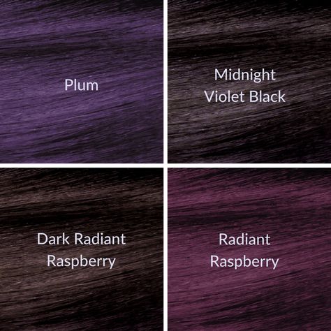 Shades Of Purple Hair, Violet Black Hair, Plum Hair Dye, Dark Plum Hair, Pelo Color Borgoña, Lady Locks, Ombré Balayage, Violet Hair Colors, Hair Color Plum