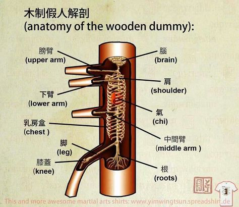 Anatomy of the wooden dummy Wing Chun Dummy, Wing Chun Training, Wing Chun Martial Arts, Martial Arts Quotes, Martial Arts Equipment, Wooden Dummy, Boxe Thai, Wing Chun Kung Fu, Trening Sztuk Walki