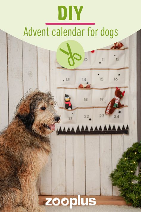 Advent Calendar For Dogs Diy, Advent Calendar For Dog, Diy Dog Treat Advent Calendar, Doggie Advent Calendar, Homemade Dog Advent Calendar, Dog Advent Calendar, Dog Nutrition, Diy Advent Calendar, Animal Crafts