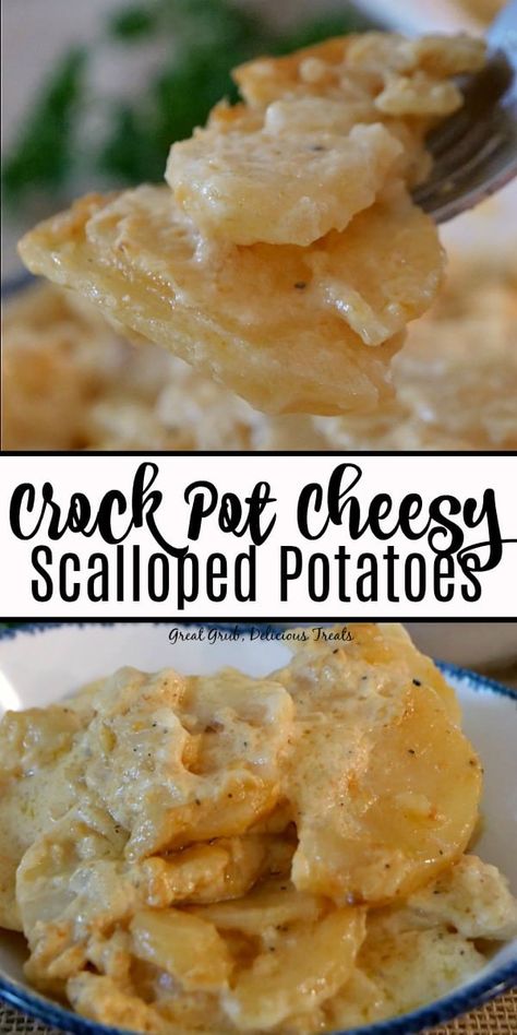 Great Grub, Crock Pot Scalloped Potatoes, Crockpot Scalloped Potatoes, Potatoes Scalloped, Potatoes Crockpot, Crockpot Potatoes, Yummy Potatoes, Simple Soups, Scalloped Potatoes Crockpot