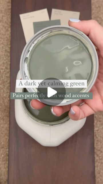 Meg Loren on Instagram: "This one!😍 The shade is perfect for cabinetry or even for the walls in a pantry, laundry or mudroom. This is at the top of my list for our pantry 🤌🏼

Save for later✨
Paint color: Pewter Green by Sherwin Williams

#greenpaint #pewtergreen #sherwinwilliams #diy #beforeandafter #moodygrams #neutraldecor #homedecor #diyhomedecor" Pantry Color Ideas Paint, Paint 2024, Pewter Green, Colorado House, Renovated Kitchen, Pantry Laundry, House Color Palettes, House Color, Downstairs Bathroom