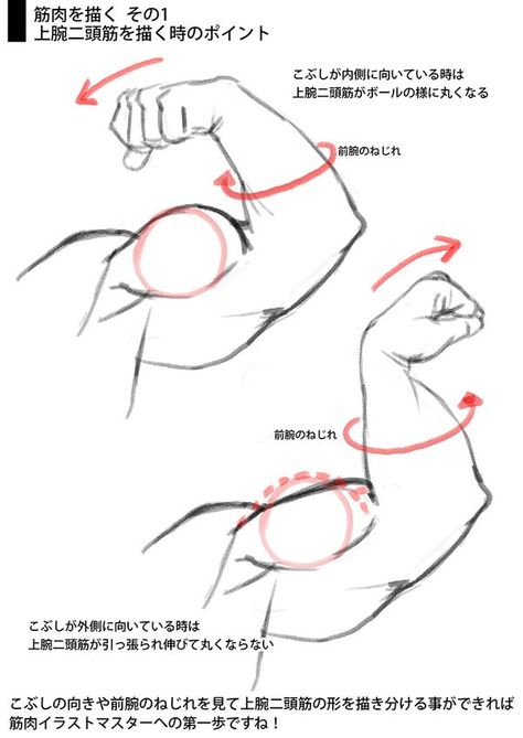 Biceps and flexes. Arm Amputee Character Design, Anatomy Tutorial, Body Drawing Tutorial, Human Anatomy Drawing, Hand Drawing Reference, Human Figure Drawing, Human Anatomy Art, Anatomy Sketches, Body Reference Drawing