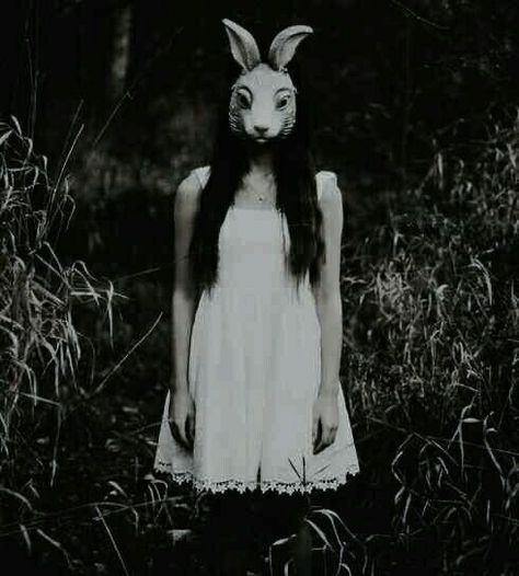 Creepy Girl Aesthetic, Rabbit Mask Creepy, Horror Storyboard, Haunt Actor, Rabbit Creepy, Creepy Photoshoot, Library Aesthetics, Mask Creepy, Mask Photoshoot