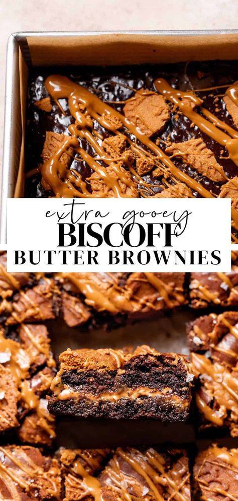 These fudgy Biscoff brownies are packed with Biscoff flavor! Made with my favorite fudgy chocolate brownie base, a layer of gooey cookie butter, and Biscoff cookies on top. You only need 12 ingredients to make these cookie butter brownies! Biscoff Cheesecake Brownies, Biscoff Cookie Cupcakes, Biscoff Millionaire Bars, Cookie Dessert Ideas, Caramel Brownie Bites, Cookies With Toppings, Ghiradelli Brownie Recipes, Biscoff Cookies Desserts, Best Ever Cookies Recipes