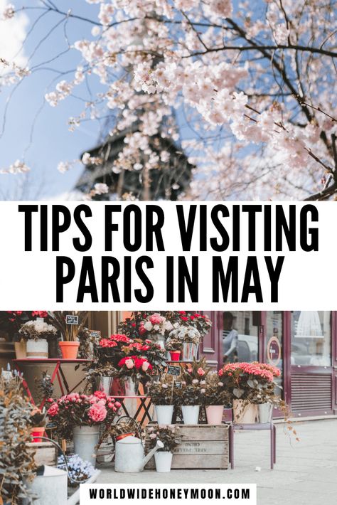 Top 10 Tips For Visiting Paris in May: Top Things to do in Paris in May, What to Wear, & More! - World Wide Honeymoon Paris In May Outfits, May Outfits, Paris Weather, Paris In May, Paris Trip Planning, Spring Paris, Paris Things To Do, Paris In Spring, Paris Honeymoon