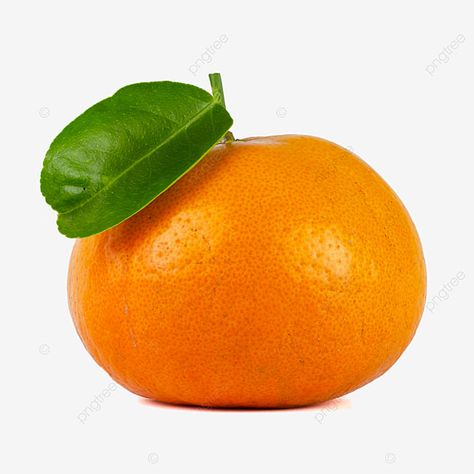 Orange Png, Mandarin Oranges, Mandarin Orange, Png Clipart, Transparent Png, Png Image, Single Piece, Transparent Background, Free Download