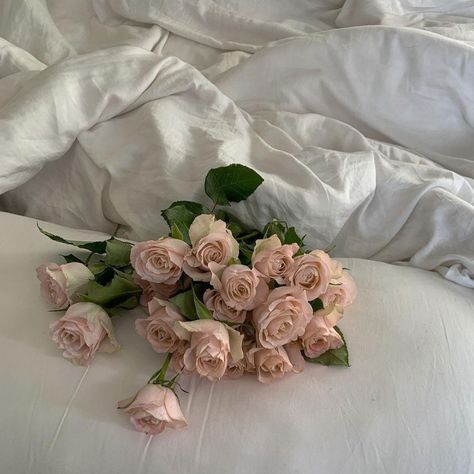 blush roses, home aesthetic, cozy in bed, give me flowers, fresh flowers forever | Alexandria & David (@alexandriaanddavid) Fluffy Bedding, Denim Sandals, Spring Denim, Ad Fashion, White Comforter, Nothing But Flowers, Flower Therapy, Amazon Storefront, Ootd Summer