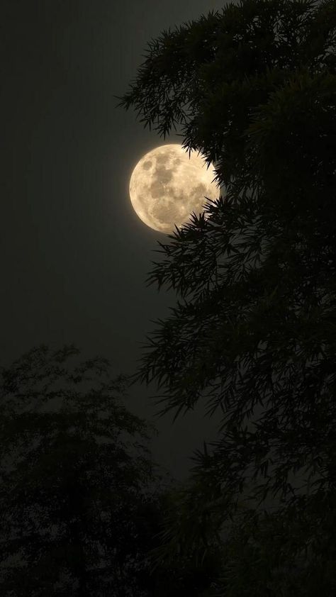 Moon Hd, Eiffel Tower Photography, Moonlight Photography, Blue Moon Photography, Space Phone Wallpaper, Moon Wallpaper, The Moon Is Beautiful, Spiritual Artwork, Moon Illustration