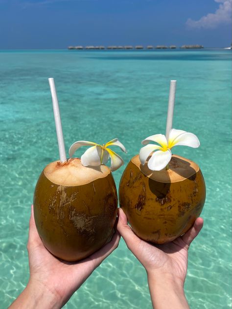 Coconuts in front of the Indian Ocean Maldives Island Aesthetic, Maldives Resort Aesthetic, Maldives Landscape, Island Resort Aesthetic, Maldives Island Beach, Tropical Resort Aesthetic, Beach Resort Aesthetic, Maldives Aesthetic, Resort Aesthetic