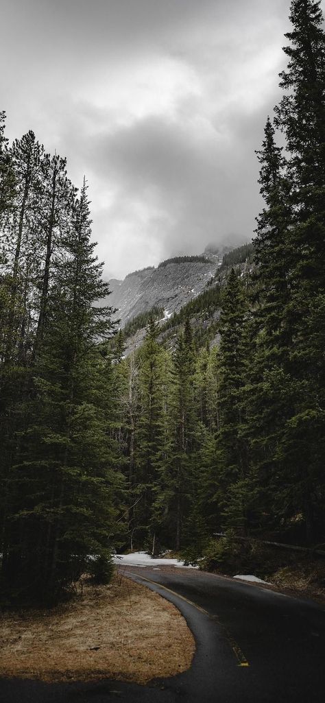 Aesthetic Creative Wallpaper, Background Mountain Nature, Scenery Wallpaper Nature Landscapes, Nature Aesthetic Mountains, Natural Wallpaper Iphone, Dark Wallpaper Nature, Iphone Wallpaper Aesthetic Nature, Forest Aesthetic Landscape, Wallpaper Iphone Mountain