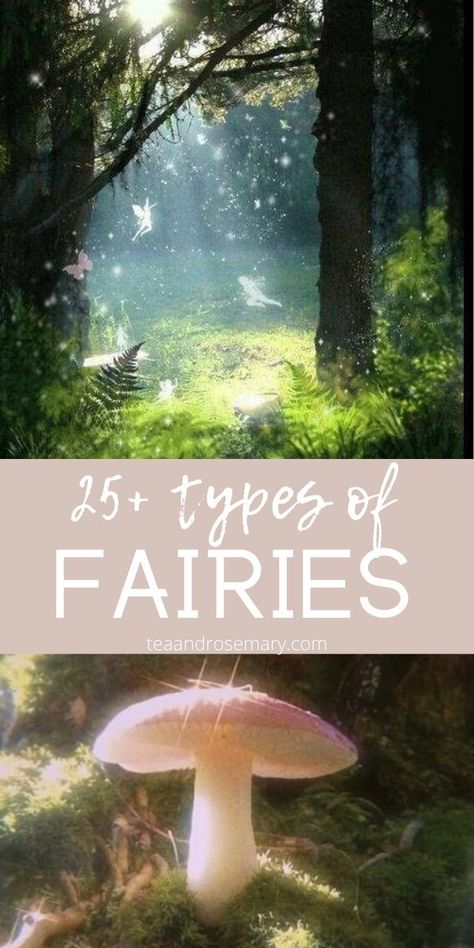 25+ different types of fae and fairy. If you want to learn about the different types of fairies, fairy, faeries, faery, and fae folk, then check these types out. Different Kinds Of Fairies, Different Fairy Types, Black Fairy Aesthetic Art, Fae Symbols, Types Of Fae Creatures, Types Of Fairies List, Fairy Language, Fairy Offerings, Fairy Tips