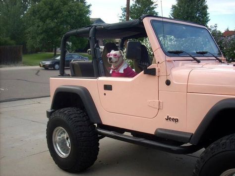 pastel colored jeep Auto Jeep, Jeep Wrangler For Sale, Pink Jeep, Wrangler Jeep, Future Cars, Dream Cars Jeep, Jeep Lover, Car Goals, Jeep Girl