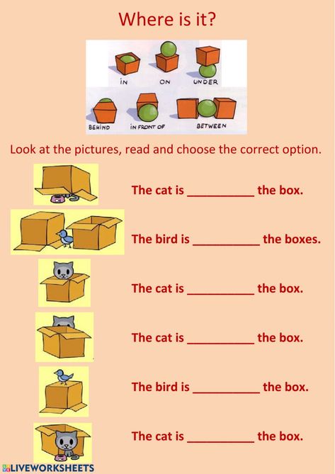 Prepositions Worksheets For Class 2, Proposition Worksheet For Grade 1, Preposition Worksheets For Grade 2, Worksheet For Prepositions, English Syllabus For Grade 1, Preposition Activities Worksheets, Learning Activities For Grade 1, Position Words Worksheet Grade 1, Like And Don't Like Activities