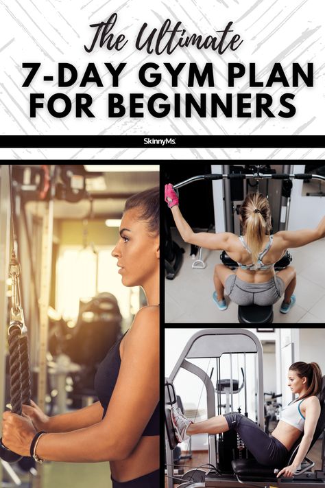 Weightlifting Women Routine Gym, Weight Training For Fat Loss Gym, Gym Floor Workouts Women, What Machines To Use At The Gym For Women, Weight Training Workouts For Women Plan, Arms Day Gym, Work Out Schedule For Women Gym, Workout Routines At The Gym Women Beginner, Gym Machine Back Workout