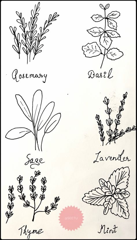 Herbs Embroidery Patterns, Herb Drawings Simple, Herb Doodles, Greenery Doodles, Herb Drawings, Garden Doodles, Witchy Doodles, Scrapbook Tricks, Bison Tattoo