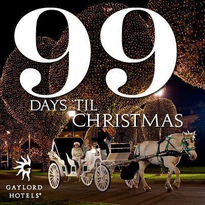 Less than 100 days until Christmas! When do you start shopping? When do you decorate? #Christmas #ChristmasCountdown #Christmasiscoming #holidays #readyornot #Christmas2020 100 Days Until Christmas, Decorate Christmas, Believe Christmas, Days Till Christmas, Days Until Christmas, Christmas Pins, Vacation Resorts, Merry Little Christmas, Christmas Is Coming