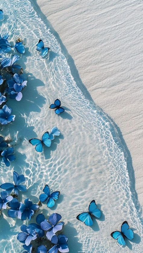 Blue theme wallpaper-butterfly Blue Water Wallpaper Aesthetic, Light Blue Butterfly Wallpaper, Precious Core Aesthetic, Blue Aesthetic Wallpaper Landscape, Blue Ocean Wallpaper Aesthetic, Iphone Wallpaper Aesthetic Background, Image Aesthetic Bleu, Asthetic Picture Wallpaper Iphone, Wallpers Asthetics