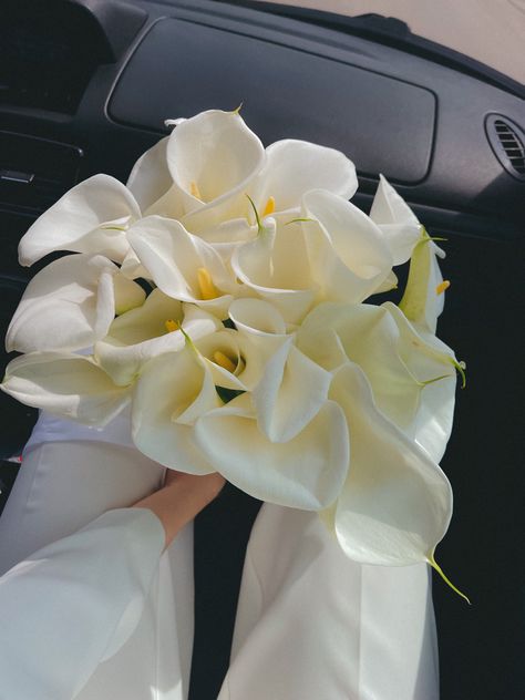 Zantedeschia Bouquet, Lilly Bouquet Wedding, Calla Lillies Bouquet, White Calla Lily Bouquet, White Calla Lily, Arum Lily, Calla Lily Bouquet, Lily Wedding, Lily Bouquet