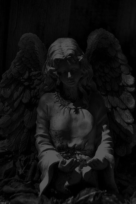 Trippy Aesthetic, Angel Statue, Gothic Aesthetic, An Angel, In The Middle, The Middle, Angel, Statue, Art