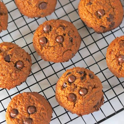 Keto Pumpkin Chocolate Chip Cookies, Pumpkin Spice Chocolate Chip Cookies, Low Carb Dairy Free, Pumpkin Spice Chocolate, Starbucks Cookies, Low Carb Gingerbread, Ginger Molasses, Pumpkin Chocolate Chip Bread, Spiced Chocolate