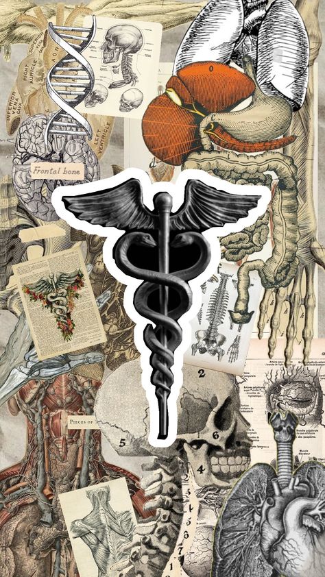 #humananatomy #anatomy #scientist #medecine #books #art #humanbody #studying Cute Medical Wallpaper, Study Wall Aesthetic, Scientist Aesthetic Wallpaper, Anatomy Aesthetic Wallpaper, Medicine Wallpaper Aesthetic, Medical Art Creative, Medical Wallpaper Aesthetic, Pathology Aesthetic, Anatomy Collage