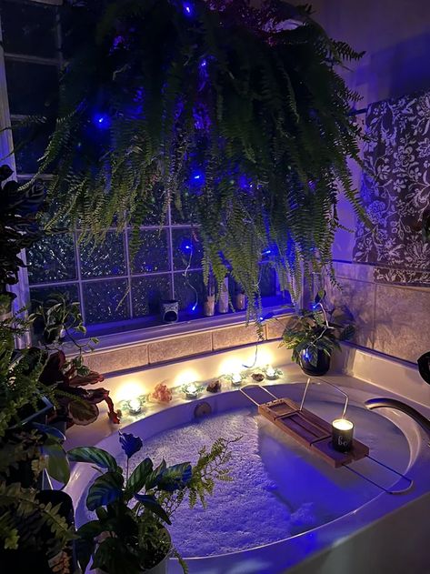 Thoughts on easyplant.com? : houseplants Plant Chandelier, Cool Shelves, Things I Want, Interiors Dream, Smart Auto, Future Apartment, Growing Indoors, House Goals, Dream House Decor