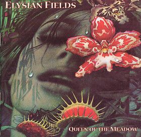 Elysian Fields/ New York NY Elysian Fields, New Wall, Funky Art, Flower Field, Album Art, The Song, Drawing Reference, Aesthetic Art, Collage Art