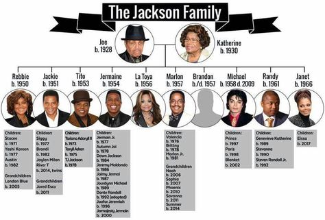 Janet Jackson Son, The Jackson Family, Family Tree Photo, Muhammed Ali, Michael Jackson Art, Michael Jackson Smile, Joseph Jackson, Michael Jackson Pics, Paris Jackson