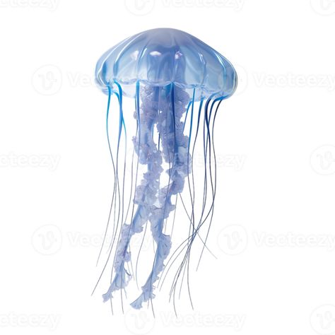 AI generated jellyfish on transparent background Jellyfish Png Icon, Jellyfish Oc Art, Widget Icon Transparent, Transparent Widget Icons, Jellyfish White Background, Cute Transparent Icons, Transparent Background Icons, Fish Widget, Jellyfish Transparent