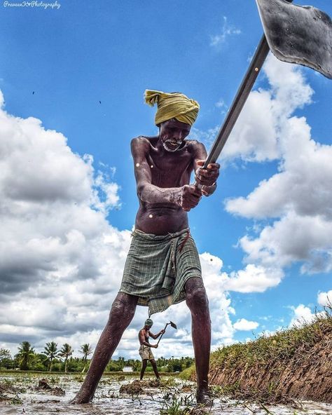 Majdurdivas Photo, Indian Farmers Images, Farm Photography Ideas, Farmers Photography Indian, Agriculture Photography Farmers, Farmer Pic, Farmers Photography, Farmer Image, Primary Sector