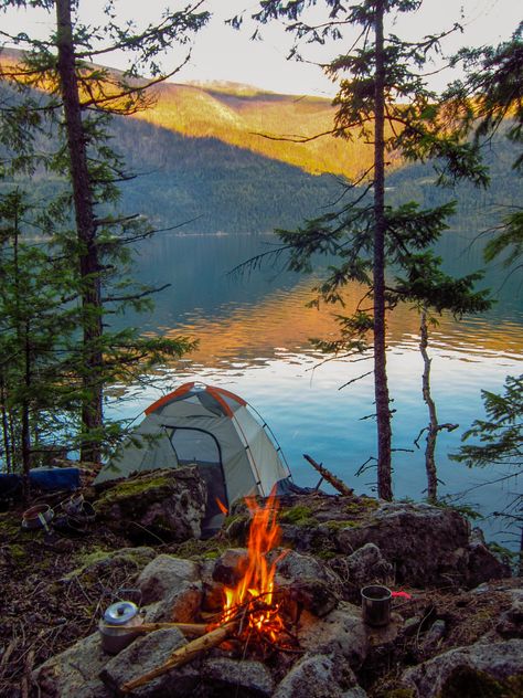 🇨🇦 Campsite (Slocan, BC) by Katie - 凯迪 Lofoten, Lakeside Camping, Supraviețuire Camping, Camping In The Woods, Camping Sauvage, Cabin Aesthetic, Camping Photo, Camping Inspiration, Camping Aesthetic