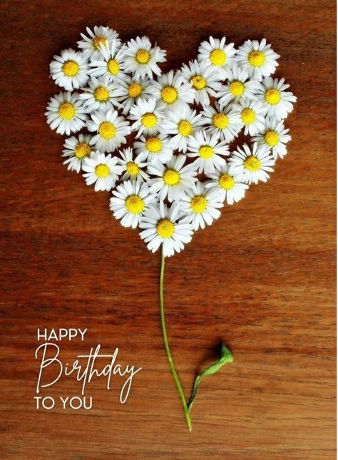 Happy Birthday With Daisies, Daisy Birthday Quotes, Happy Birthday Daisy, Happy Bday Wishes, Happy Birthday Flowers, Happy Birthday Wishes For A Friend, Happy Birthday Wishes Pics, Happy Birthday Floral, Happy Birthday Wishes Messages