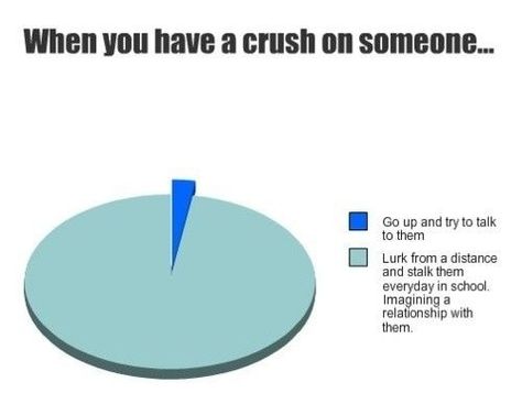 this describes me perfectly... seriously ask any of my friends Funny Pie Charts, Crush On Someone, Funny Crush Memes, Funny Charts, Crush Humor, Funny Texts Crush, Crushing On Someone, Crush Memes, A Crush